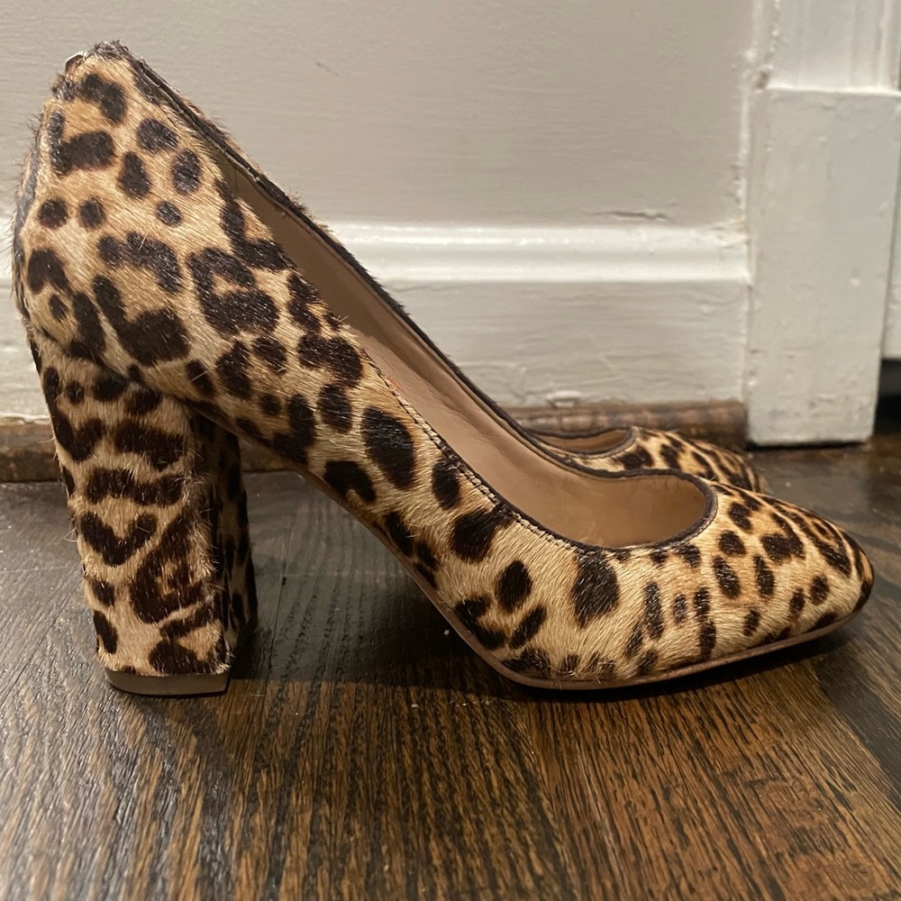 Leopard Sam Edelman Heels - Picture 3 of 5